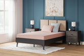A2Z Furniture - Ashley Furniture - iKidz Coral Mattresses - Twin and Pillow 2/CN / Coral - M43111